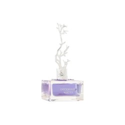 Aurora Scent Deciduous Winter Eau de Parfum 100ml 